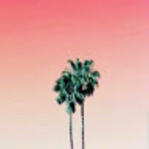 Meet your Posher, Qween